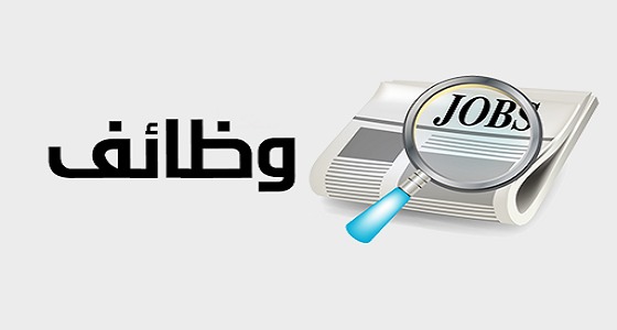 وظائف شاغرة في صنعاء 2026 | فرص عمل في مختلف التخصصات